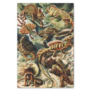 Lacertilia Lizards by Ernst Haeckel Tissue Paper