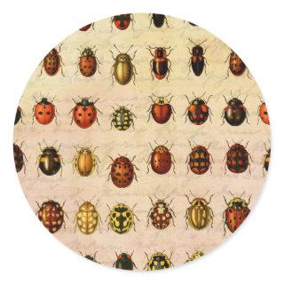 Ladybug Ladybird Beetle Insect Bug Classic Round Sticker