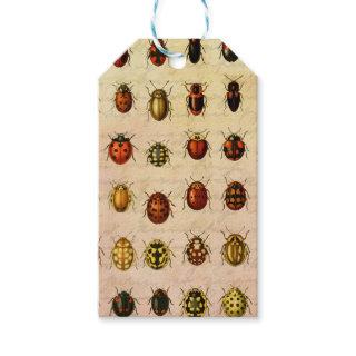 Ladybug Ladybird Beetle Insect Bug Gift Tags