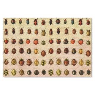 Ladybug Ladybird Beetle Insect Bug Tissue Paper