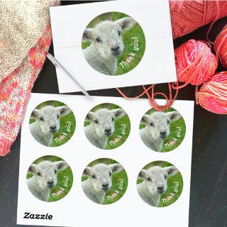 Lamb Face Thank You Wool Business Classic Round Sticker
