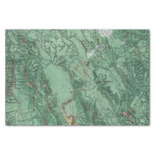 Land Classification Map of Idaho Tissue Paper