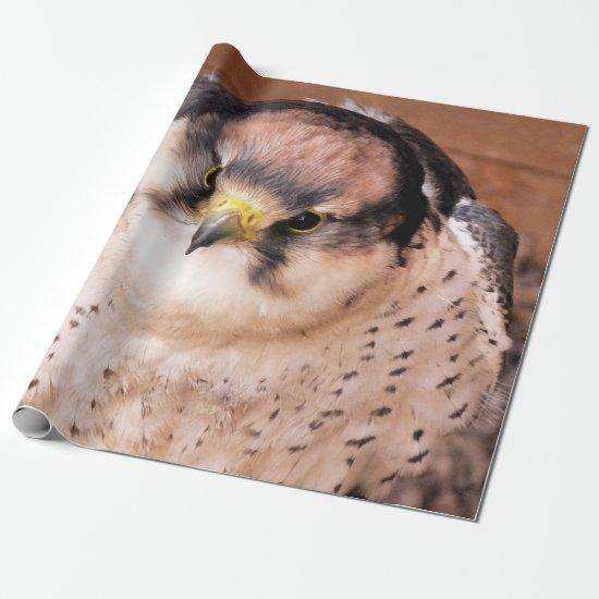 LANNER FALCON