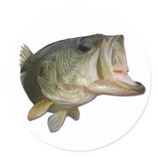 Largemouth Bass fish Classic Round Sticker