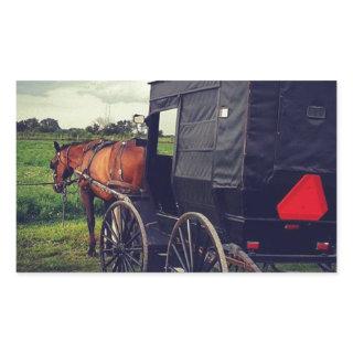 Last Night in an Amish community, Amish Horse Rectangular Sticker