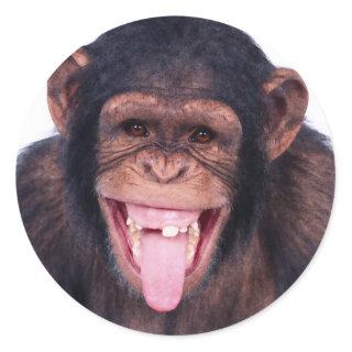 Laughing Monkey Classic Round Sticker