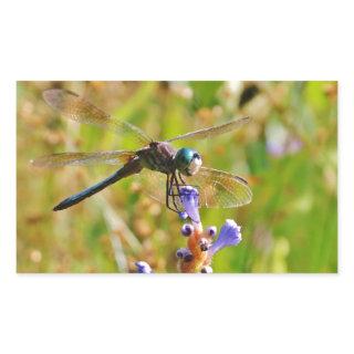 Lavender flower dragonfly rectangular sticker