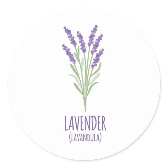Lavender Lavandula Classic Round Sticker