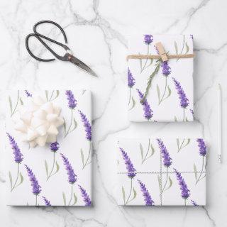 Lavender  Sheets