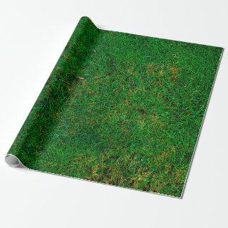 Lawn grass meadow texture yard