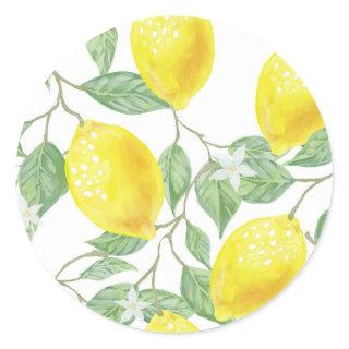 leaf-green-yellow-lemon-fruit classic round sticker