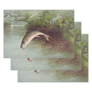 Leaping Brook Trout by S.A. Kilbourne Vintage Fish  Sheets