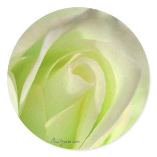 Lemon Lime Rose Wedding Envelope Seal