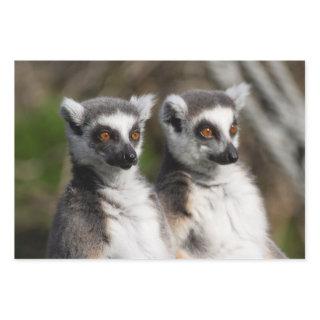 Lemur Catta Family  Sheets