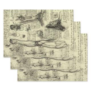 Leonardo da Vinci Vintage Human Anatomy Larynx Leg  Sheets