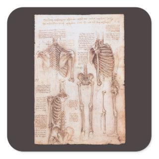 Leonardo da Vinci's Human Anatomy Skeleton Bones Square Sticker