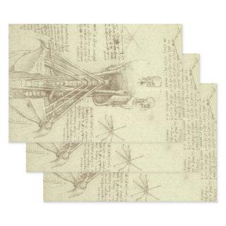 Leonardo da Vinci's Human Anatomy Spinal Column  Sheets