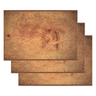 Leonardo da Vinci's Self Portrait, Renaissance Art  Sheets