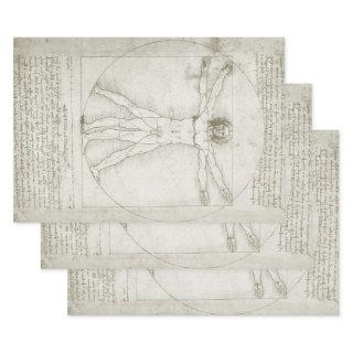 Leonardo da Vinci's Vitruvian Man  Sheets