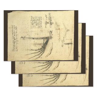 Leonardo da Vinci's Wing on Flying Machine Sketch  Sheets