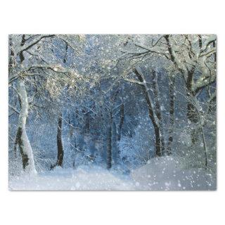 Lge Winter Wonderland Magical Glittery Snow Tissue Paper