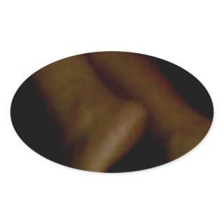 LICK MY FEET OVAL STICKER