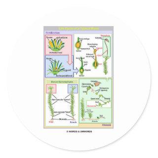 Life Cycle Of A Typical Moss (Bryophyte) Classic Round Sticker