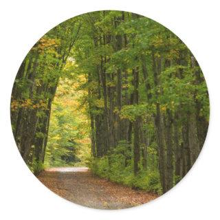 Light At The End Of A Tunnel Of Trees Classic Round Sticker