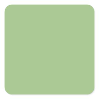 Light Sage Green 9DC183 Color, Option to Add Image Square Sticker