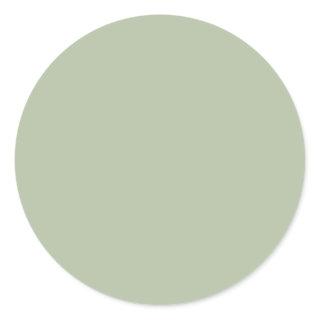 Light Sage Green Solid Color Classic Round Sticker