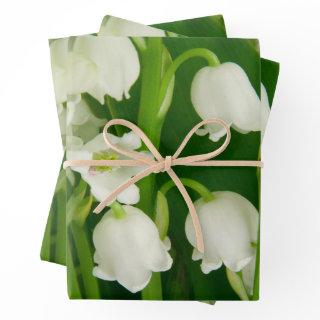 Lily of the Valley White Spring Flowers    Sheets