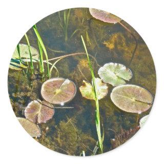 Lily Pads Sticker