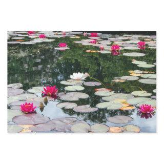 Lily pond  sheets