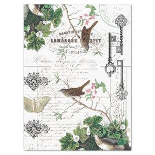 LINCOLN WARBLER VINTAGE BIRD EPHEMERA TISSUE PAPER