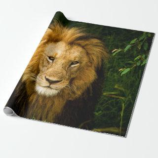 LION KING IN THE JUNGLE