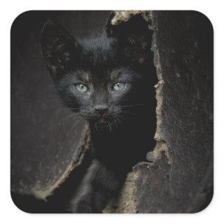 Little Black Kitty Square Sticker