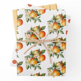 Little Cutie Orange Clementine Dots Baby Shower  Sheets