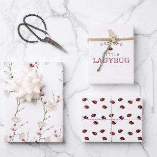 Little Ladybug Pattern Boho   Sheets