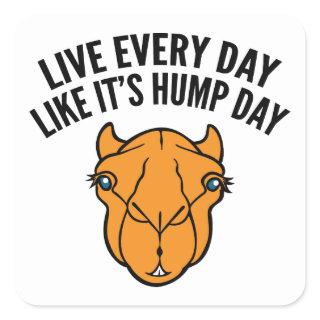 Live Every Day Like It's Hump Day Square Sticker