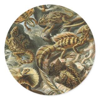 Lizards by Ernst Haeckel Vintage Lacertilia Animal Classic Round Sticker