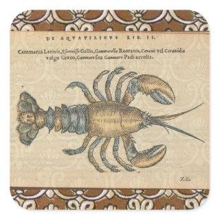 Lobster Illustration Antique Maine Seafood Square Sticker
