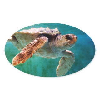 Loggerhead #2 Sticker