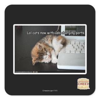 Lol cats with USB Square Sticker