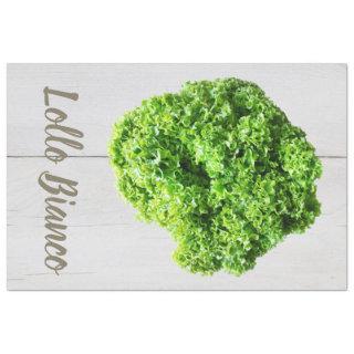 Lollo Bianco Salad lettuce leaves for Vegans Tissue Paper