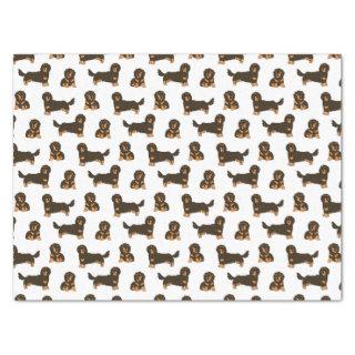 Long-haired Dachshund Tissue Paper