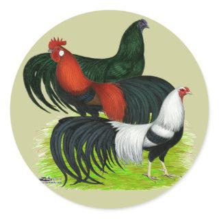 Long-tailed Rooster Trio Classic Round Sticker