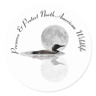 Loon Swims In The Moonlight Stickers