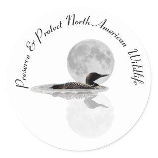 Loon Swims In The Moonlight Stickers