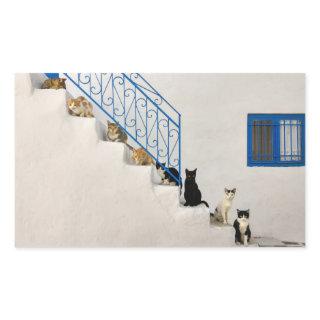 Lot of cats on a white stairway in a Greek village Rectangular Sticker