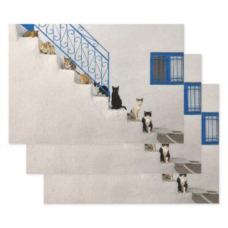 Lot of cats on a white stairway in a Greek village  Sheets